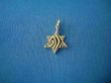 Picture of #G1028 Shalom Star of David