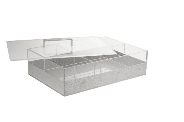Picture of 1637-S Candy dish Sectional Silver with 6 sectionals in Lucite discontinued